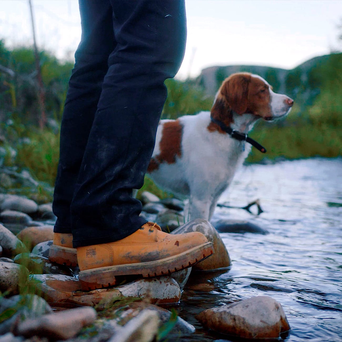 Men's Timberland PRO® Direct Attach 6" Waterproof Insulated Steel-Toe Work Boot