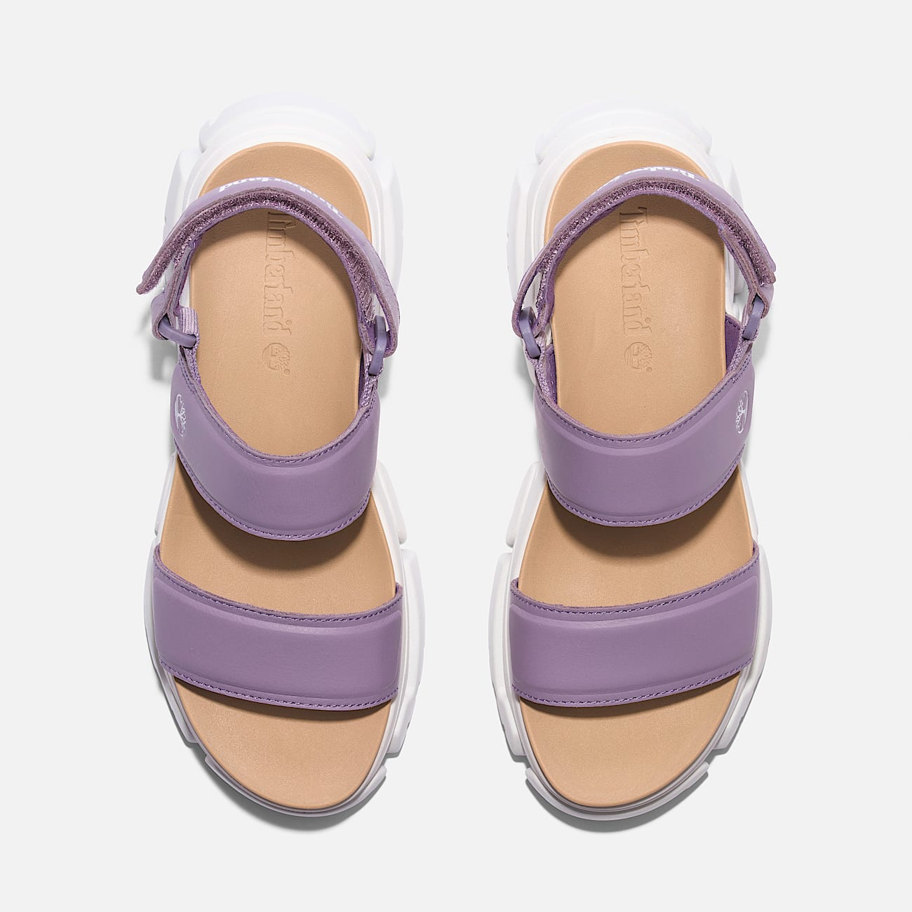 Women’s Adley Way Backstrap Sandal