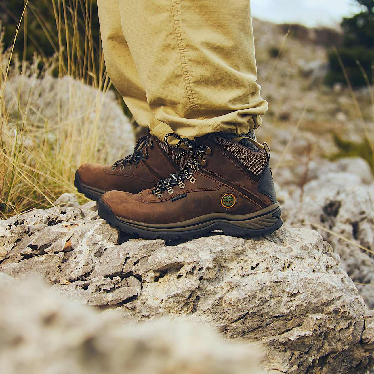 Men's White Ledge Waterproof Mid Hiker Boot