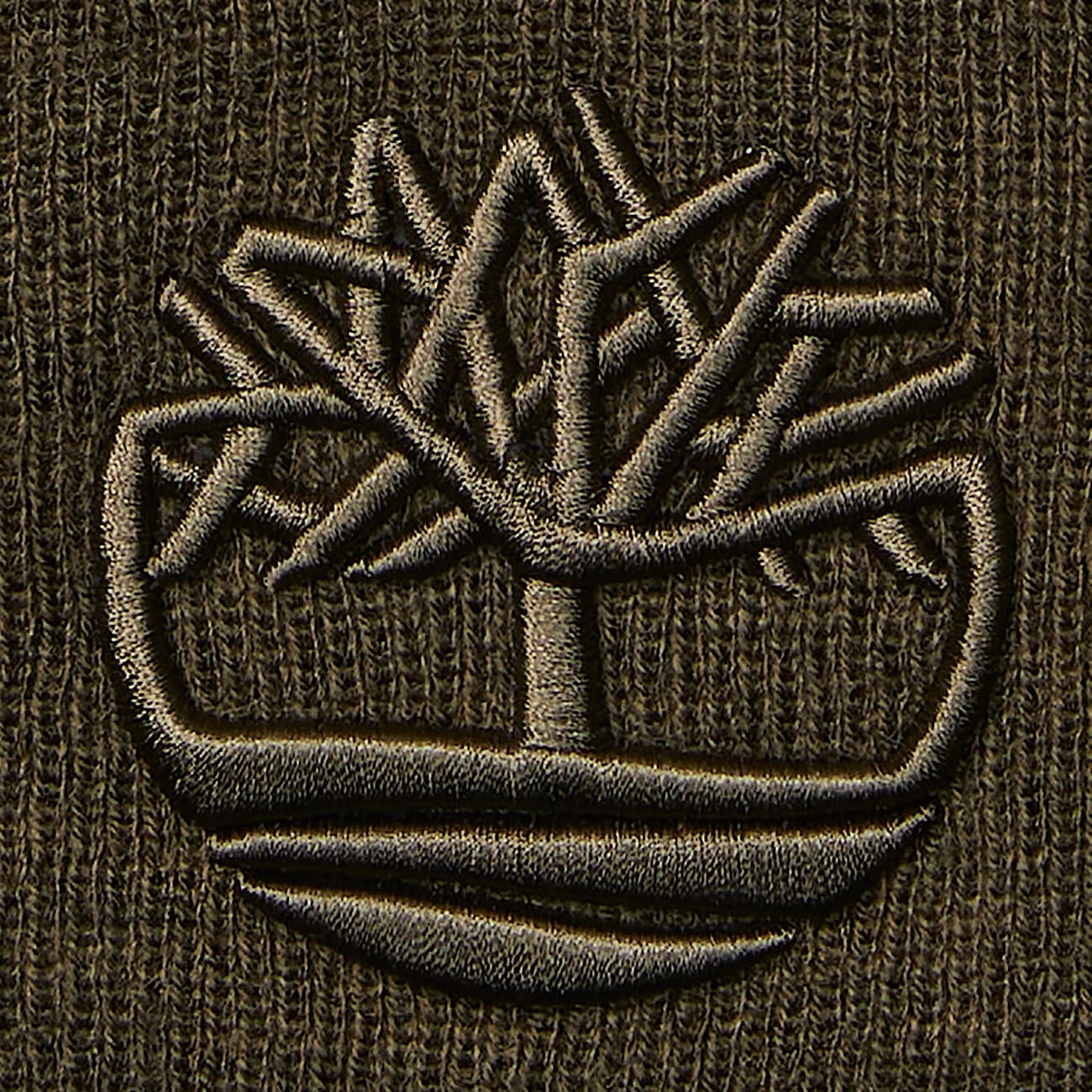 3D Embroidered Beanie