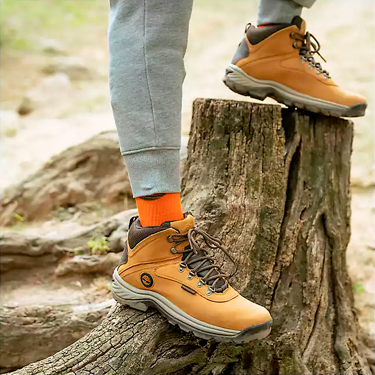 Men s White Ledge Waterproof Mid Hiker Boot