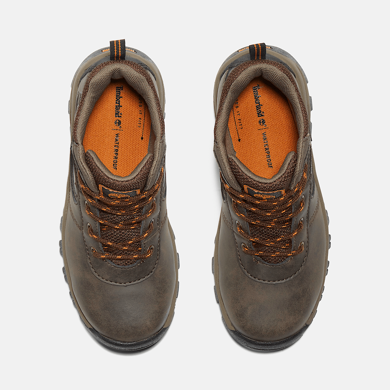 Youth Mt. Maddsen Hiking Boots in Dark Brown Timberland US