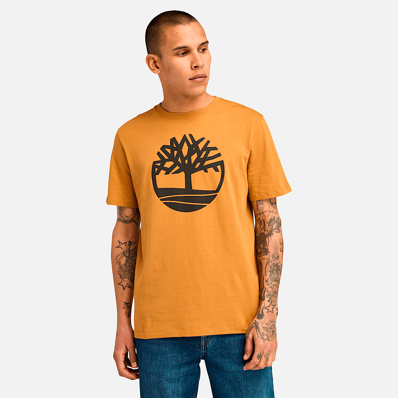 Timberland river outlet