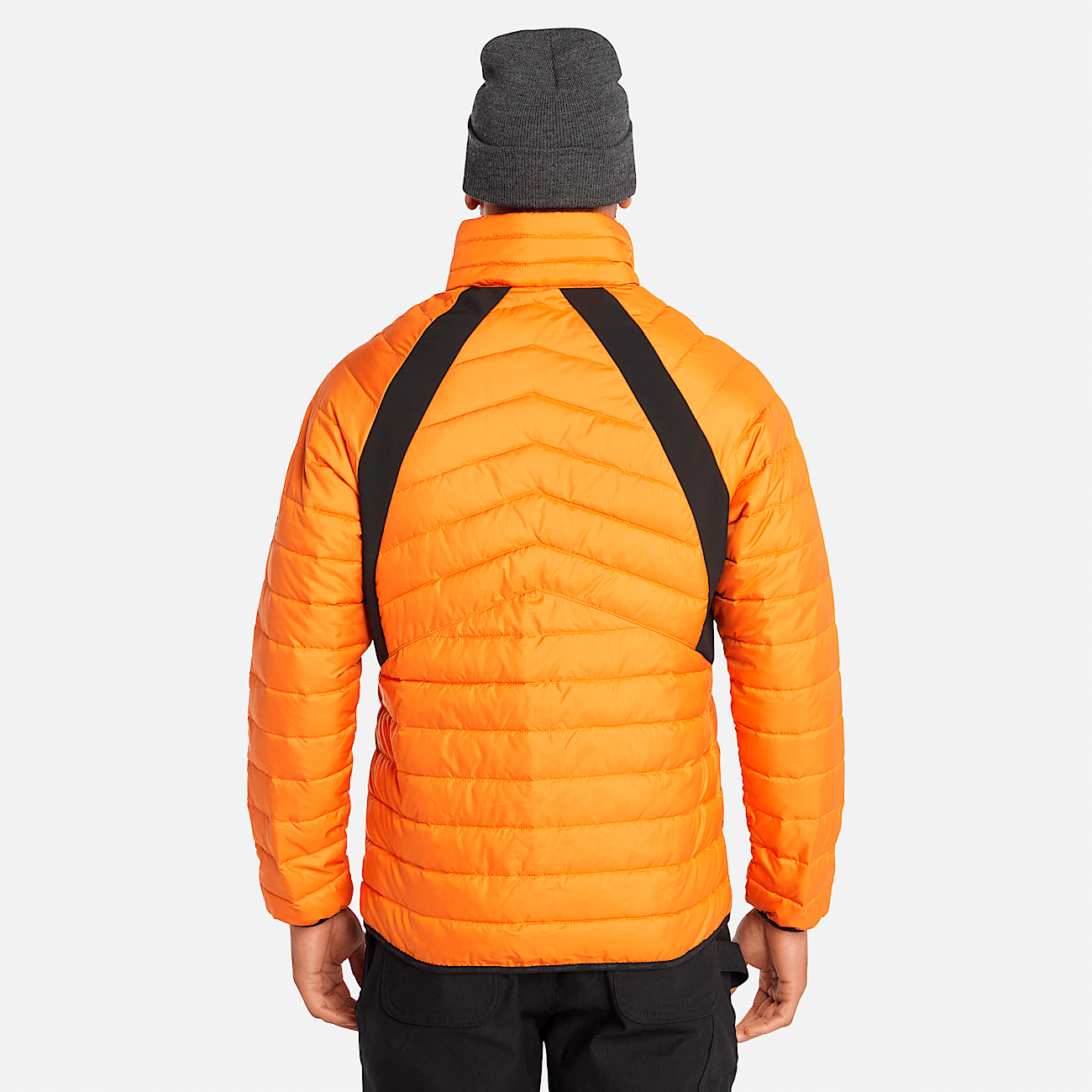 Timberland primaloft jacket cheap
