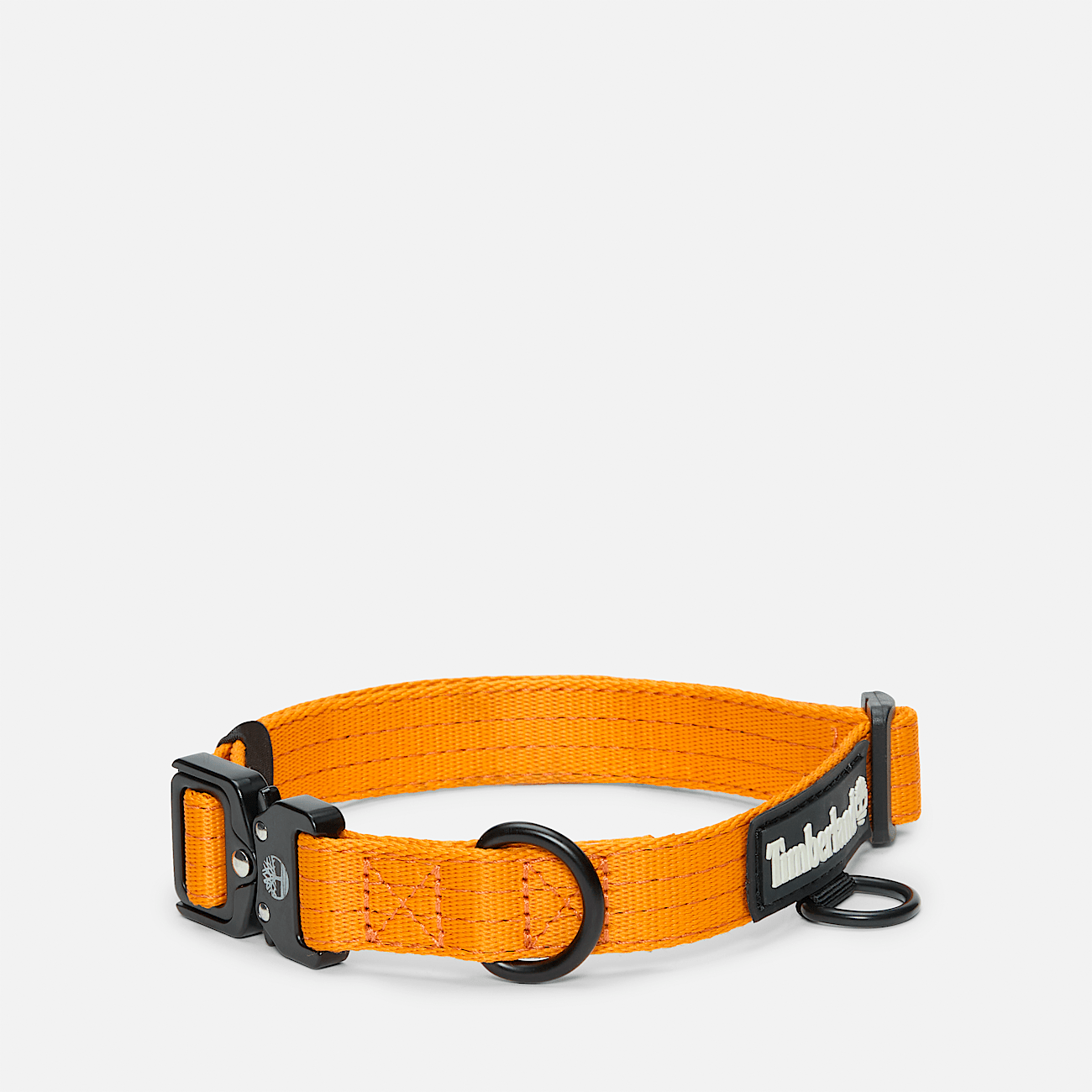 Patagonia dog collar online