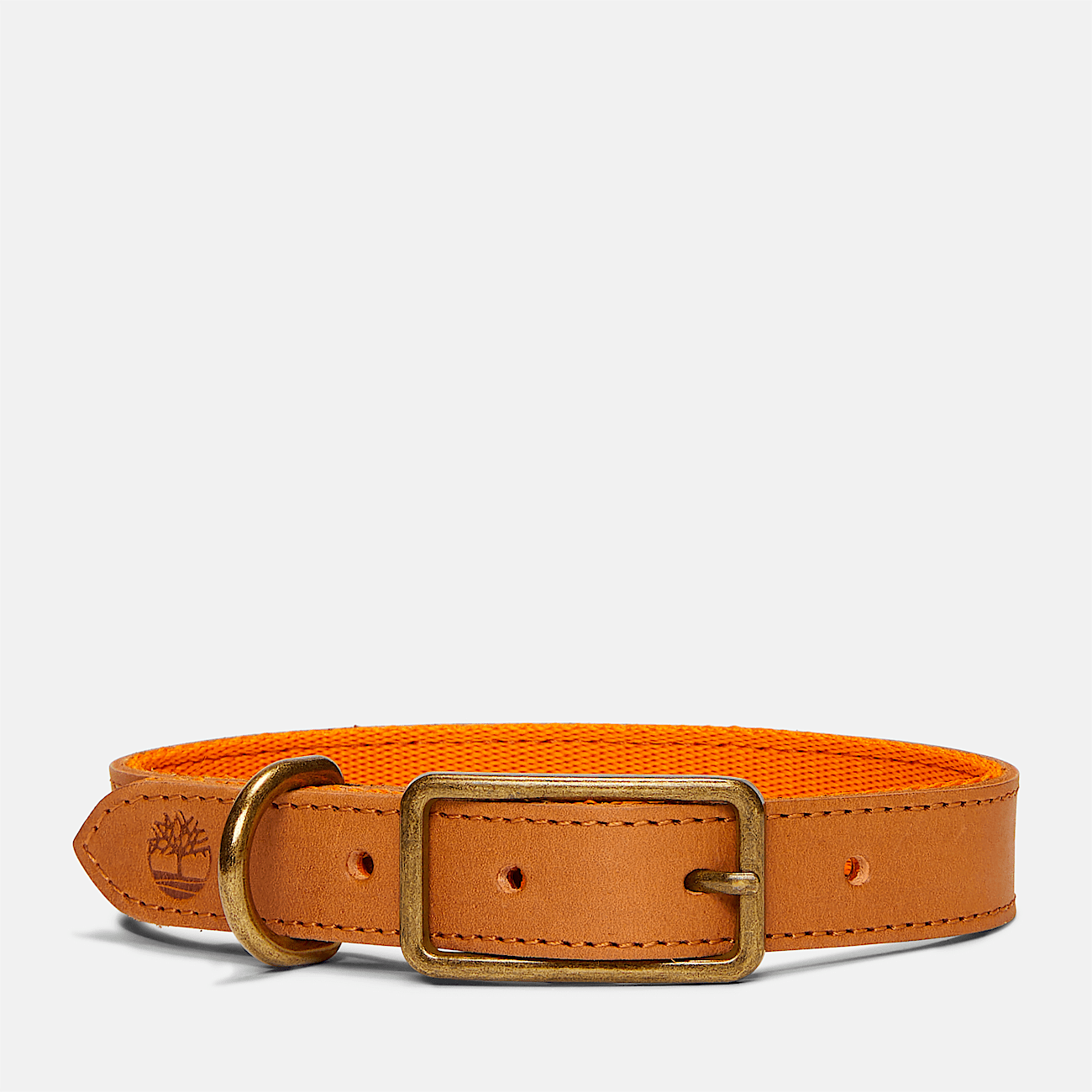 Large leather collar store
