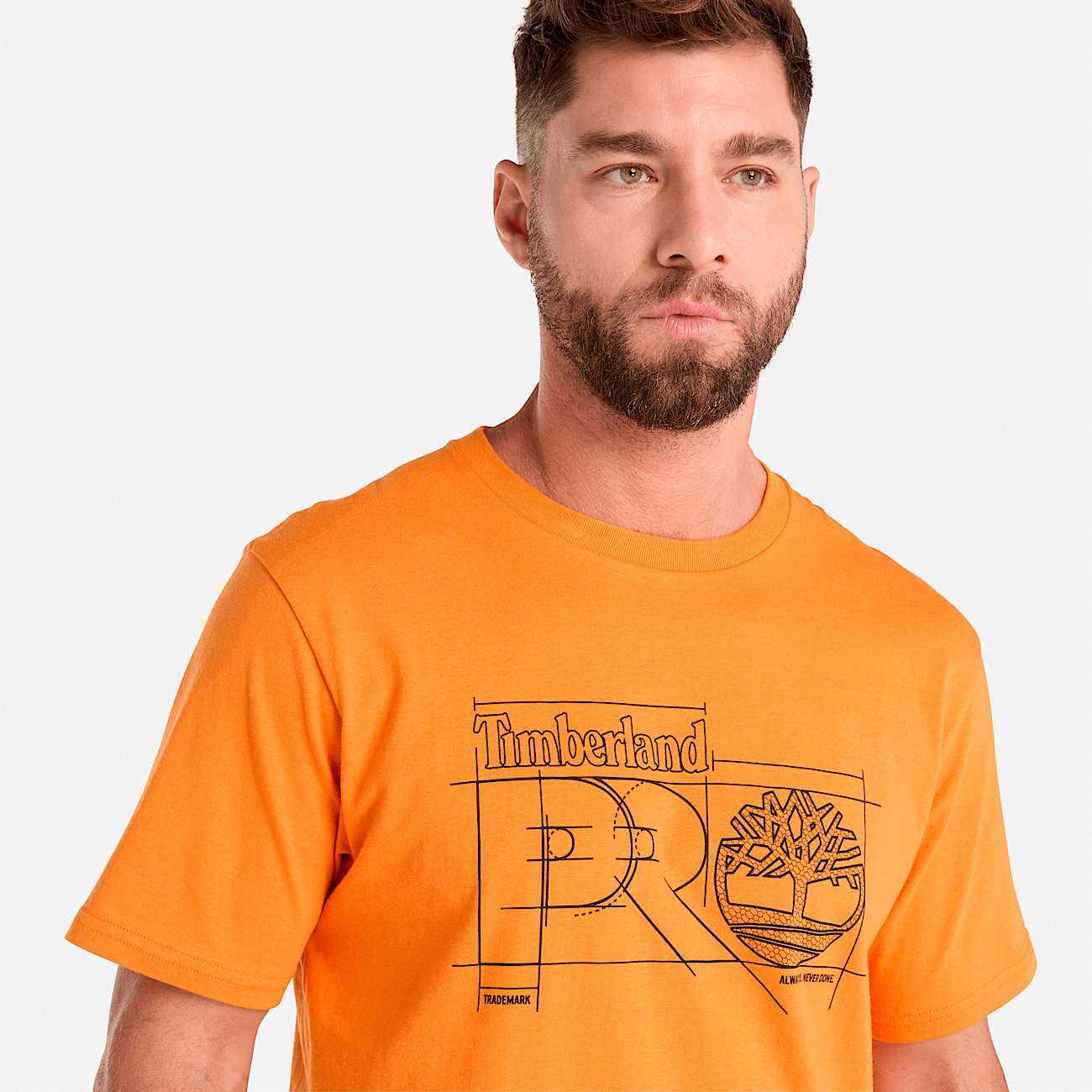 Timberland t new arrivals