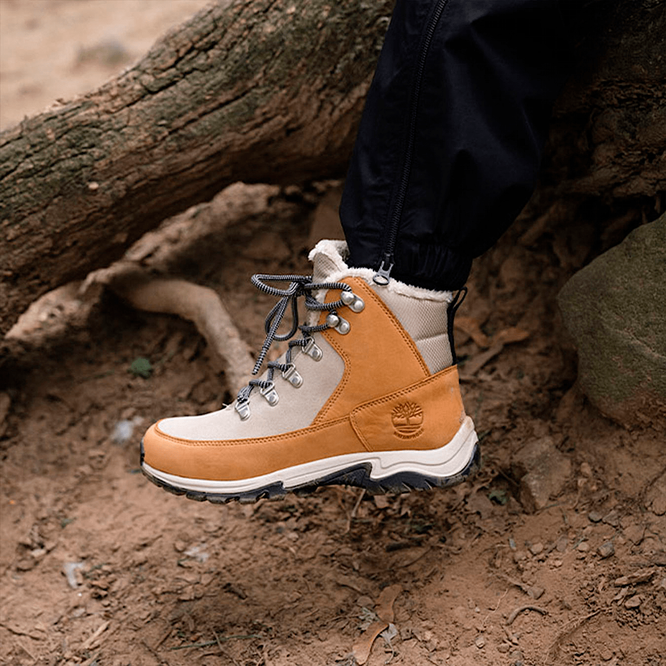 Botte d hiver impermeable Mt. Maddsen pour femmes