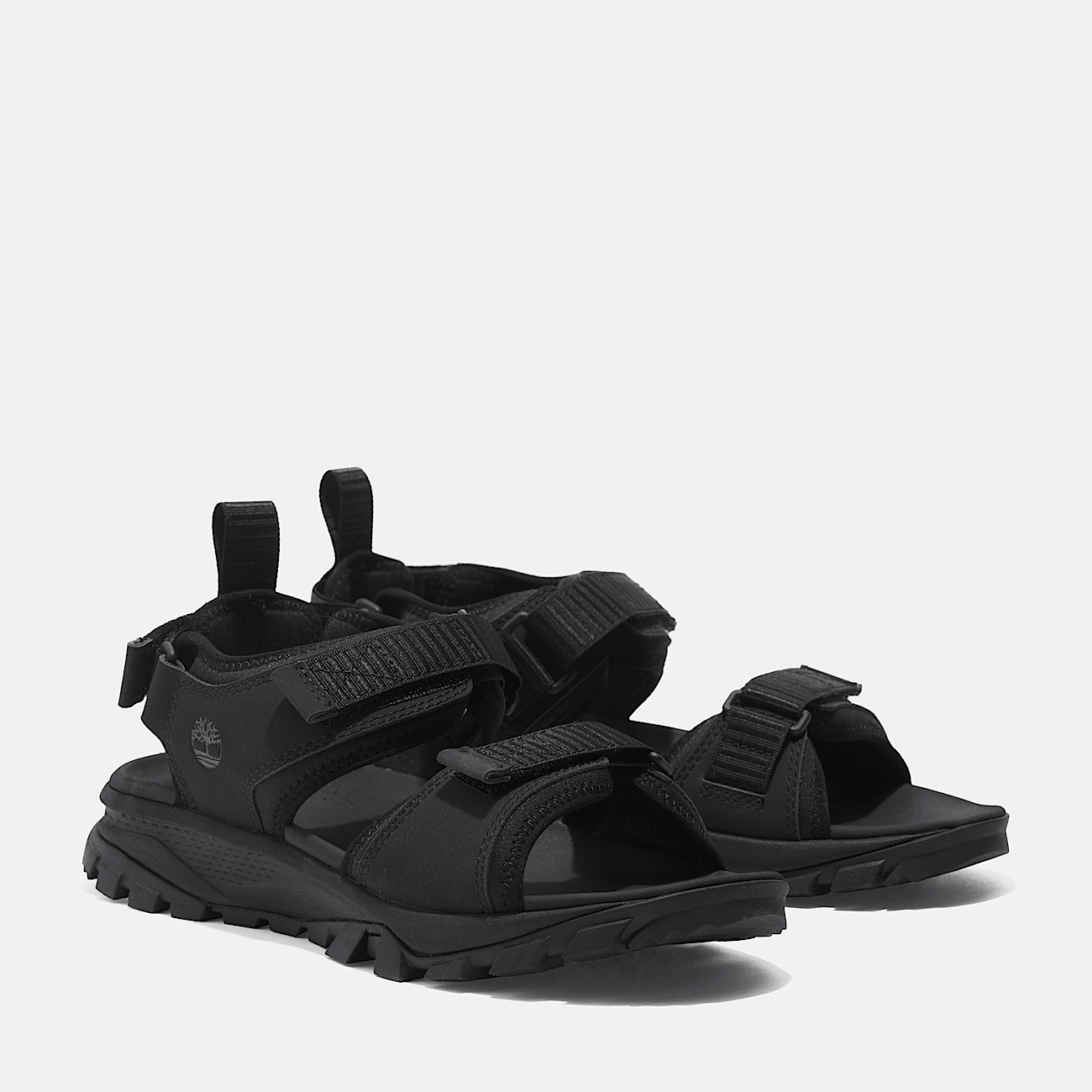 Women s Lincoln Peak 2 Strap Sandal