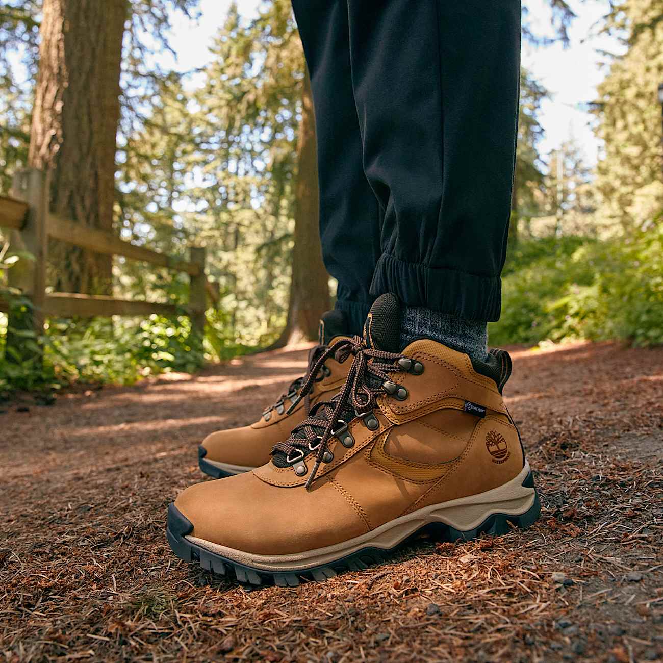 Men s Timberland Mt. Maddsen Waterproof Mid Hiking Boots 10.5 Wheat