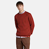 Men's Raglan Sleeve Ribbed Sweater